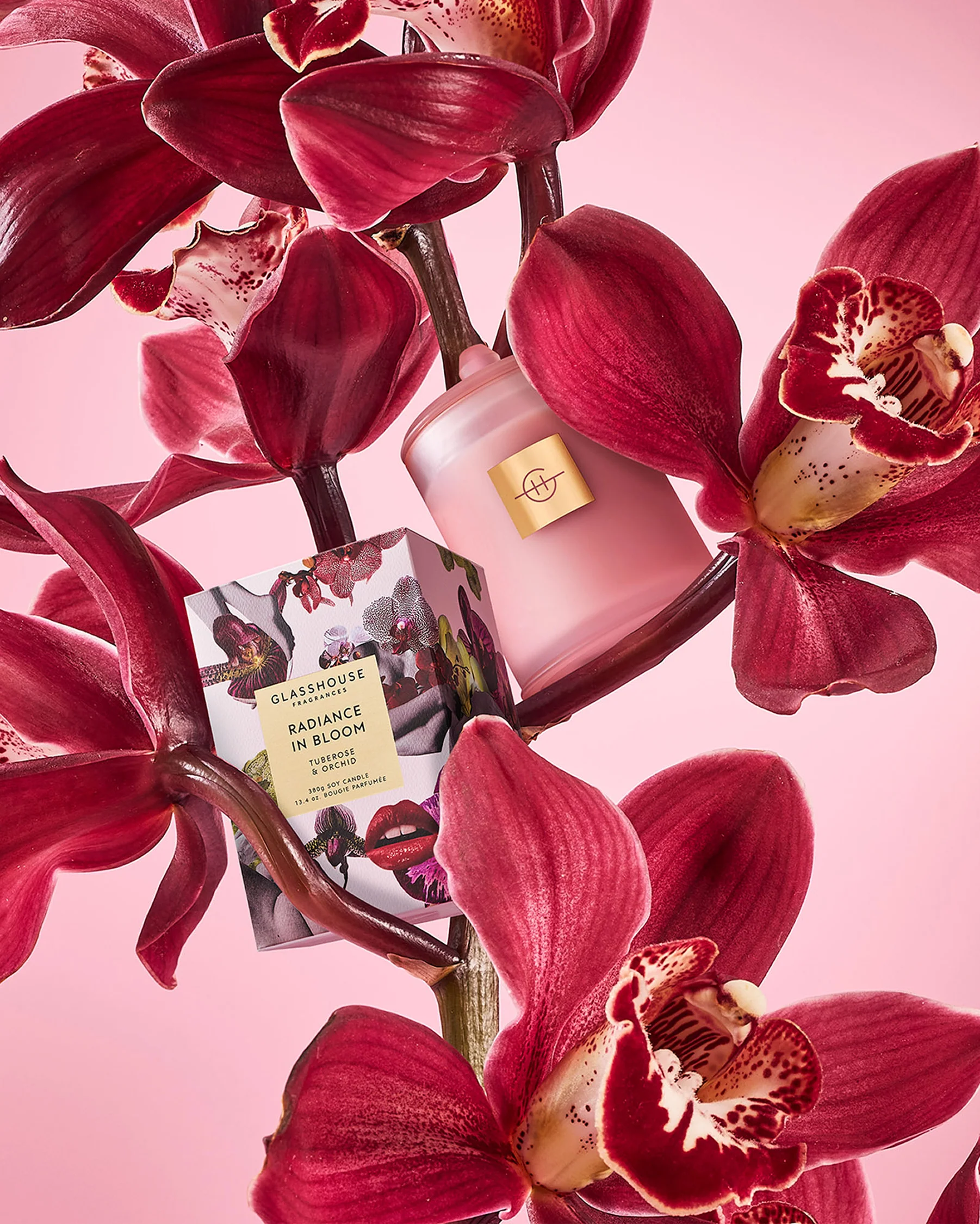 Radiance In Bloom - Image 3